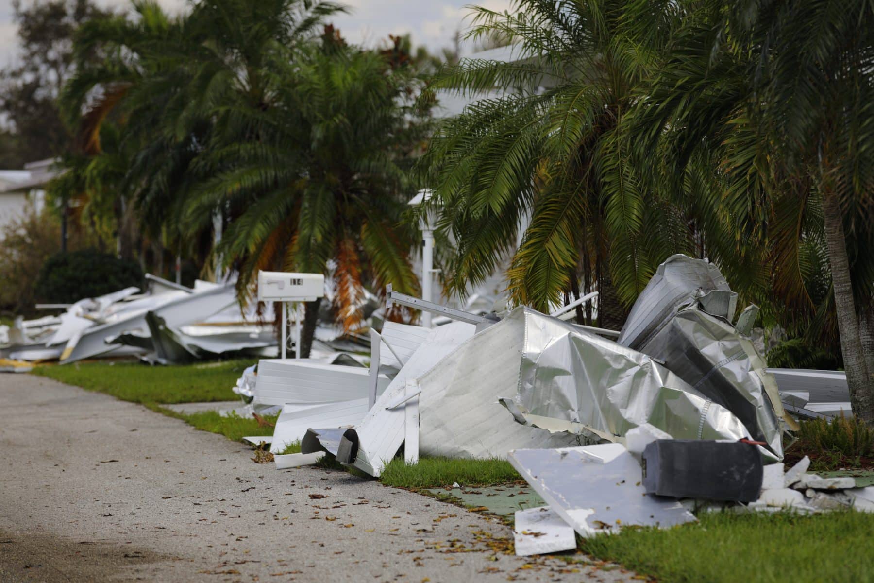 Get Fast Approval for Your wind damage insurance claim Today